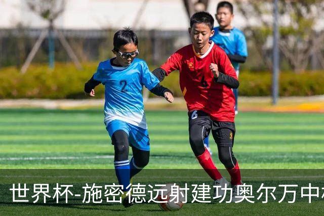 世界杯-施密德远射建功奥尔万中框 半场奥地利1-0约旦