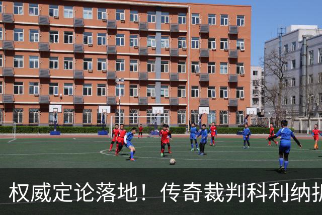 权威定论落地！传奇裁判科利纳拆解萨拉赫禁区争议：无防守犯规，球员假摔该领黄牌