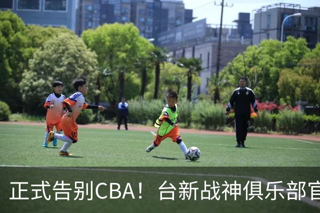 正式告别CBA！台新战神俱乐部官宣林庭谦加盟