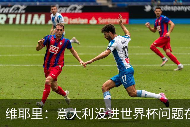 维耶里：意大利没进世界杯问题在体制 出路在于有效培养年轻球员