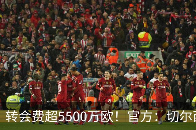 转会费超5500万欧！官方：切尔西签下21岁帕莱斯特拉，签约7年